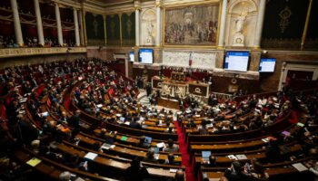 Budget 2025 : la partie recettes du texte a été adoptée en commission mixte paritaire