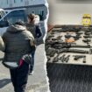 More illegal migrants busted running massive gun-running operations