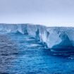 Le plus grand iceberg du monde s’est fracturé pour la première fois