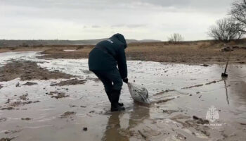 200 000 tonnes de sable souillées : la marée noire en Russie et Crimée continue de s’étendre sur le littoral