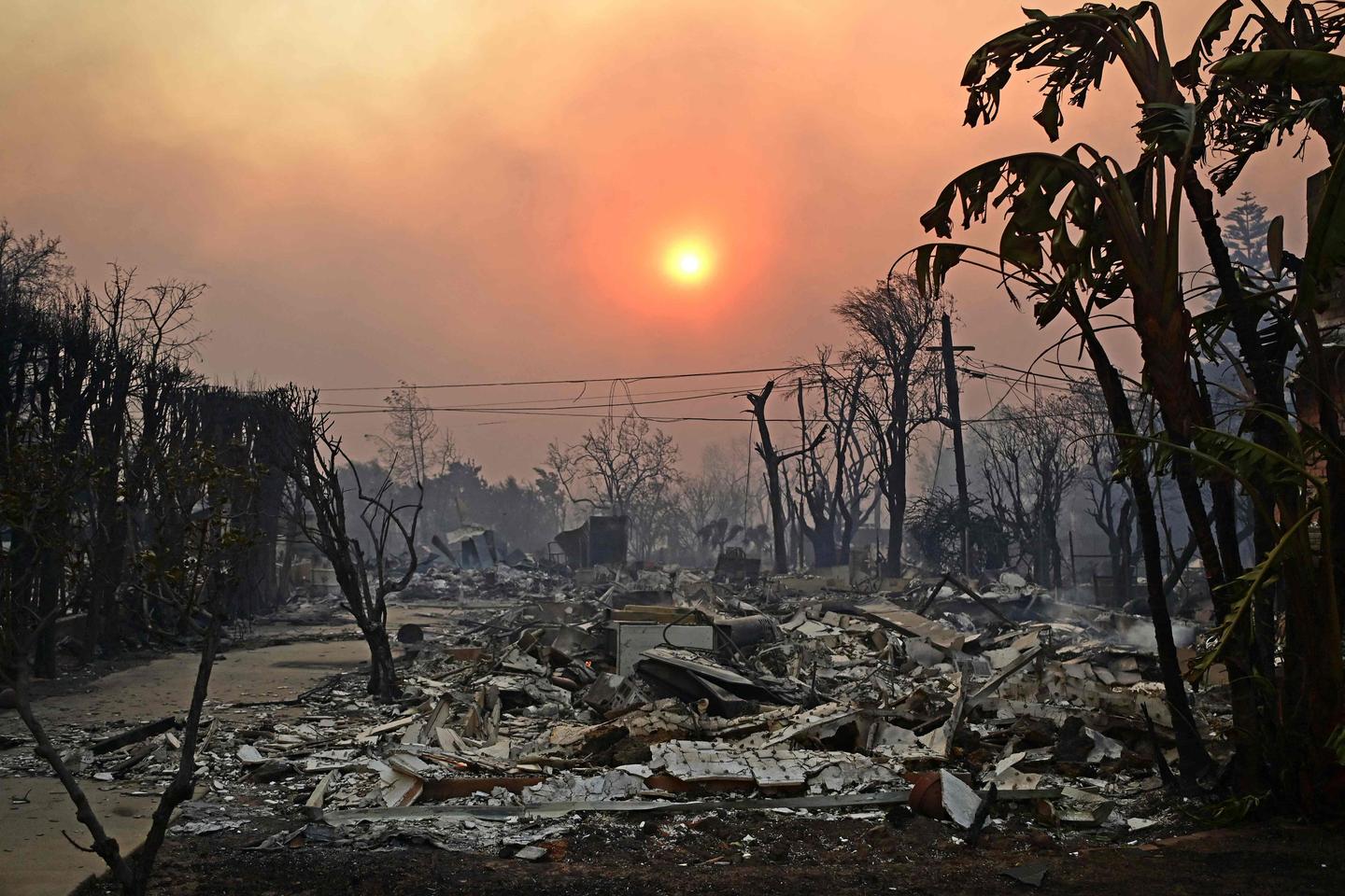 2024, année la plus chaude jamais enregistrée et première à dépasser le seuil de 1,5 °C de réchauffement climatique