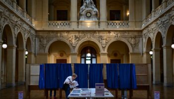 2024, l’année où la moitié de la planète en âge de voter était appelée aux urnes