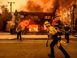 A furious blame game has erupted over the cause of the LA inferno that has killed 11 and left thousands homeless. Now, as DAVID PATRIKARAKOS reveals, a new theory has emerged - and it could spell the end for Gavin Newsom