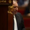 À l’Assemblée, François Bayrou échappe à sa première motion de censure grâce au PS et au RN