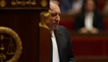 À l’Assemblée, François Bayrou échappe à sa première motion de censure grâce au PS et au RN