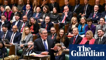 AI tool can give ministers ‘vibe check’ on whether MPs will like policies