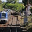 Aidée par un contrôleur, une jeune femme accouche dans un TER à Saint-Marcellin