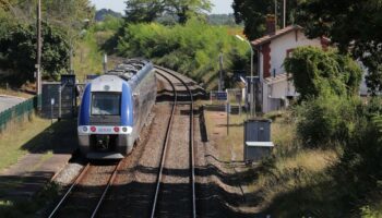 Aidée par un contrôleur, une jeune femme accouche dans un TER à Saint-Marcellin