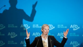 Allemagne : « Remigration », sortie de l’euro… l’AfD assume son programme d’extrême droite