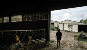 Après plusieurs mois d’attente et de reports, le projet de loi d’orientation agricole enfin examiné au Sénat