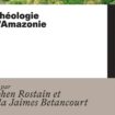 « Archéologie de l’Amazonie » : le mythe déconstruit de la forêt vierge d’Amérique du Sud