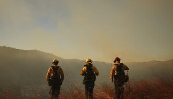 Aumenta a siete la cifra de muertos debido a los incendios sin control que asolan Los Ángeles