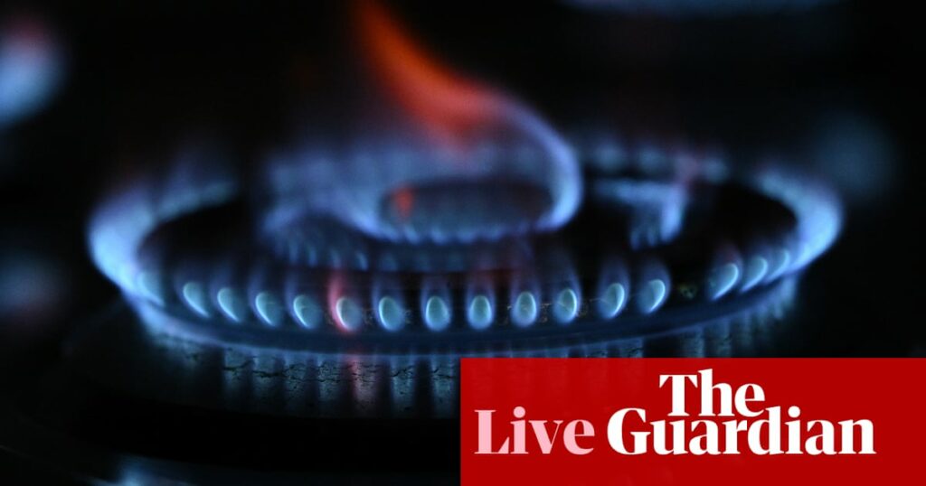 Australia news live: competition watchdog warns of upcoming gas shortfalls; rescued Hadi Nazari ‘keen for another hike’