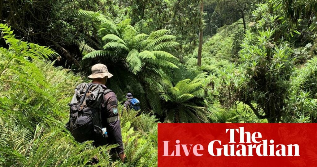 Australia news live: search for missing Kosciuszko hiker to enter 12th day; cool change to break east coast heatwave