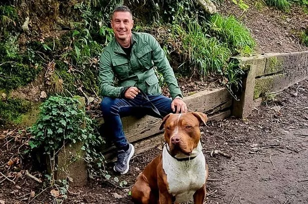 BREAKING: Sunderland XL Bully owner jailed after fatal attack killed fellow dog lover