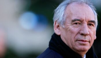 Bayrou reçoit les principaux syndicats agricoles à Matignon