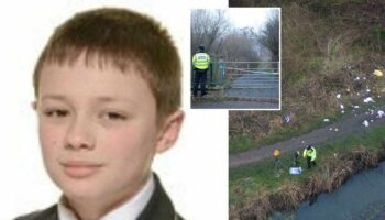 Birmingham stabbing: Everything we know after boy, 12, dies during horror knife attack