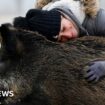 Blackpool, bathing and a boar: Photos of the week