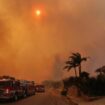 Heftige Winde treiben das Feuer in Südkalifornien schnell voran. Foto: Ethan Swope/AP/dpa