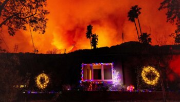 Brände in Los Angeles: Zahl der Toten steigt - 12 000 Gebäude zerstört oder beschädigt