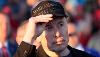 Brits overwhelmingly reject Elon Musk as half say he's 'threat to democracy'