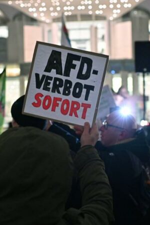 Bundestag: AfD-Verbotsdebatte erhitzt die Gemüter