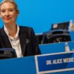 Bundestagswahl 2025: AfD kürt Weidel einstimmig zur Kanzlerkandidatin