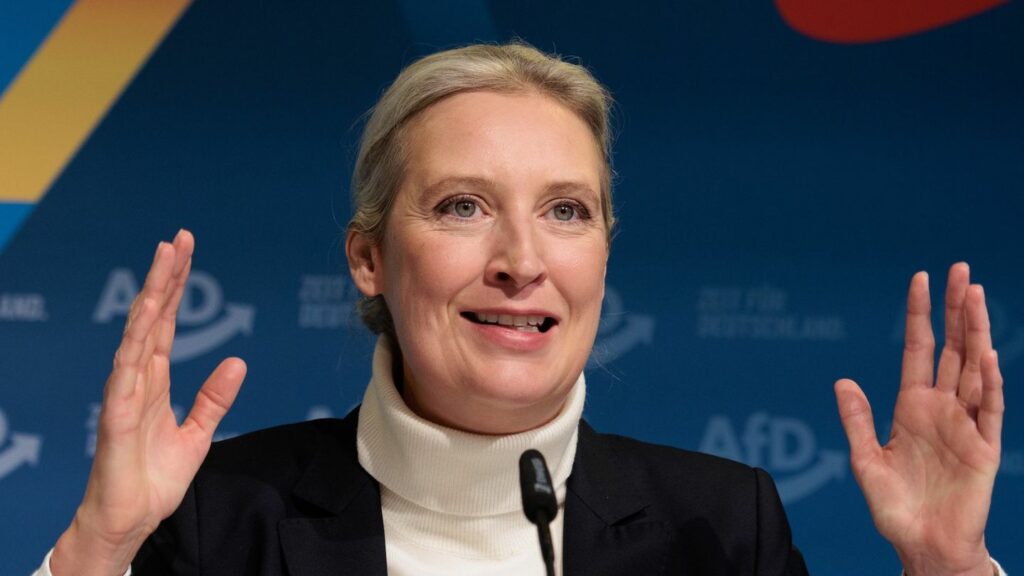 Alice Weidel tritt nach ihrer Niederlage wieder im Bodenseekreis an. (Archivbild) Foto: Carsten Koall/dpa