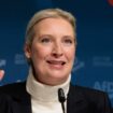 Alice Weidel tritt nach ihrer Niederlage wieder im Bodenseekreis an. (Archivbild) Foto: Carsten Koall/dpa