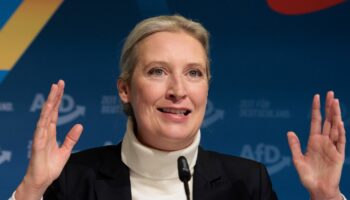 Alice Weidel tritt nach ihrer Niederlage wieder im Bodenseekreis an. (Archivbild) Foto: Carsten Koall/dpa