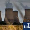 Burning wood for power not necessary for UK’s energy goals, analysis finds