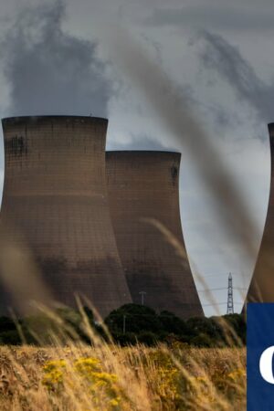 Burning wood for power not necessary for UK’s energy goals, analysis finds