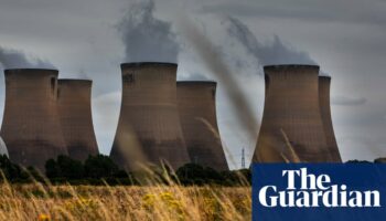 Burning wood for power not necessary for UK’s energy goals, analysis finds