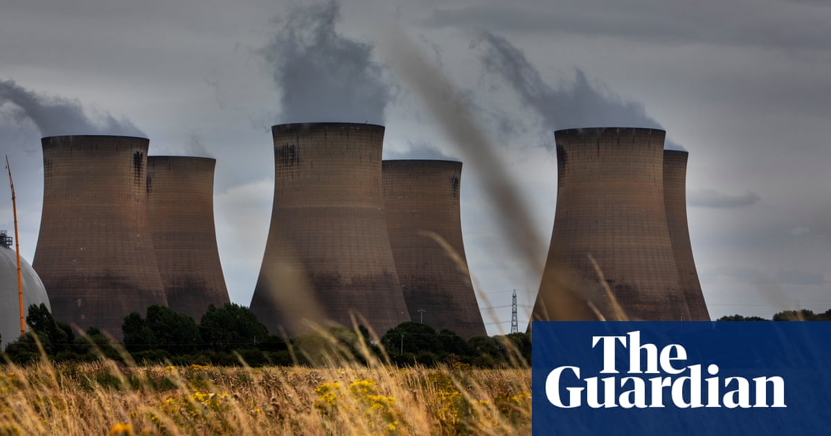 Burning wood for power not necessary for UK’s energy goals, analysis finds