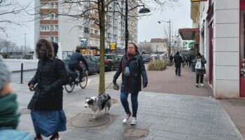 « Ça protège tout le monde » : Joinville-le-Pont oblige les propriétaires de chiens à utiliser une laisse