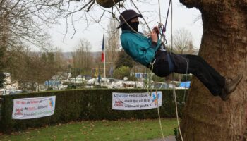 Canal Seine-Nord Europe : des « écureuils » dans les arbres de Compiègne pour s’opposer au projet