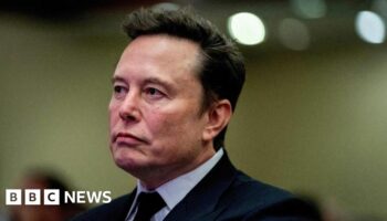 Charity staff 'harassed' after Musk shares X post