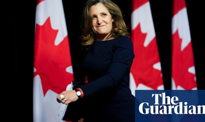 Chrystia Freeland’s campaign to lead Canada starts with humblebrag: ‘Trump doesn’t like me’