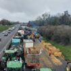 Colère des agriculteurs : la Coordination rurale veut « monter à Paris » dimanche, un blocage prévu à Lyon à partir de lundi