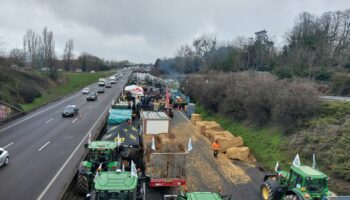 Colère des agriculteurs : la Coordination rurale veut « monter à Paris » dimanche, un blocage prévu à Lyon à partir de lundi