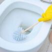 'Correct' way to clean a toilet - and why you've been doing it wrong