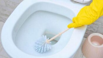 'Correct' way to clean a toilet - and why you've been doing it wrong