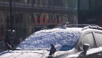 Dad who used 3-month-old baby to brush snow off car 'for TikTok views' likely to face charges