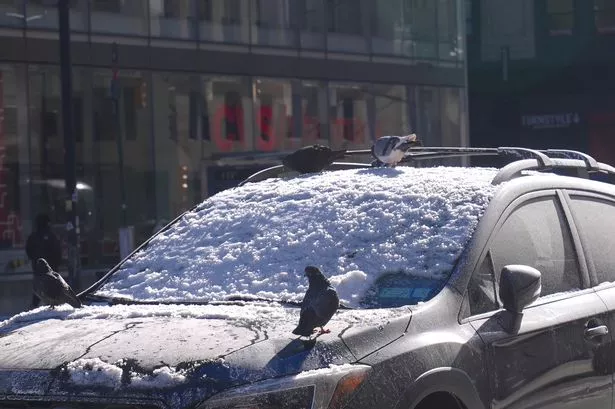 Dad who used 3-month-old baby to brush snow off car 'for TikTok views' likely to face charges