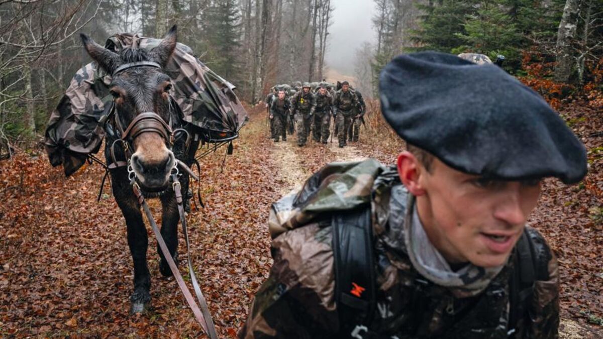 Dans le Vercors, avec des chasseurs alpins… et des mules : « Elles ne s’arrêtent jamais sans raison »