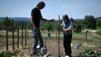 Dans les hôpitaux ou les Ehpad, les jardins thérapeutiques fleurissent