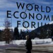 Davos 2025: Donald Trump, der Elefant beim WEF