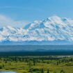 Der Denali, oder für Trump: Mount McKinley