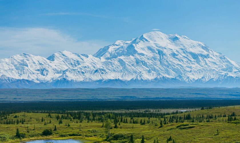 Der Denali, oder für Trump: Mount McKinley