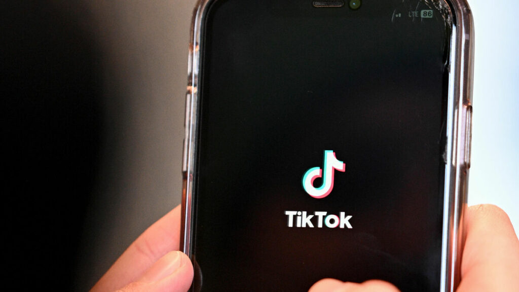 Des smartphones avec TikTok vendus pour plusieurs milliers de dollars sur eBay aux États-Unis